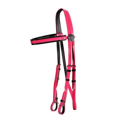 Horse Sense Race Bridle Head
