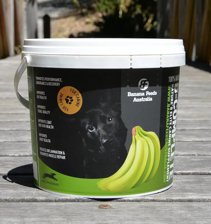 B Complete Canine Supplement 2.5kg