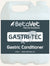 Betavet Gastritec