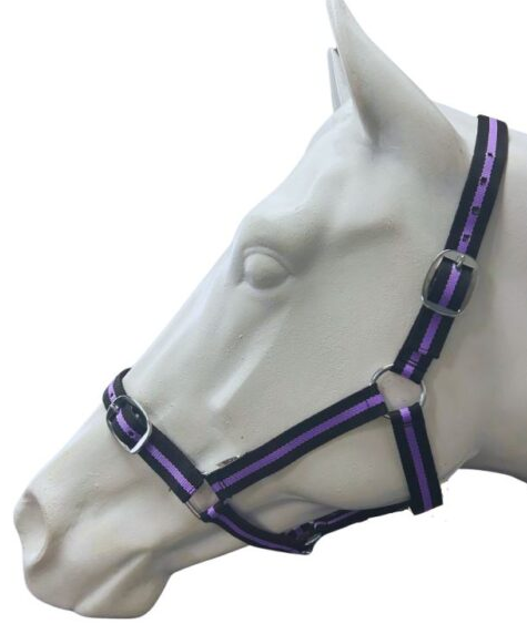 EUREKA ESSENTIAL HALTER