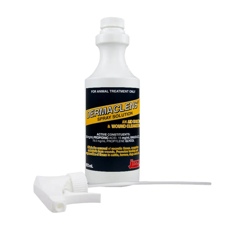 Dermaclens Clear Spray 500ml