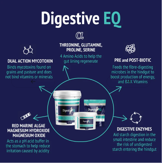 Digestive EQ Poseidon