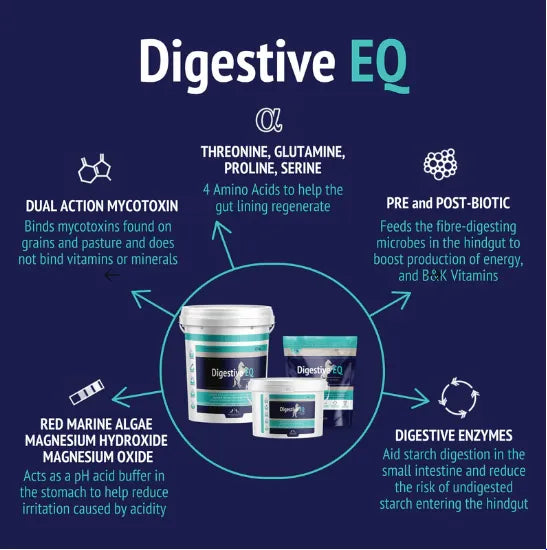 Digestive EQ Poseidon
