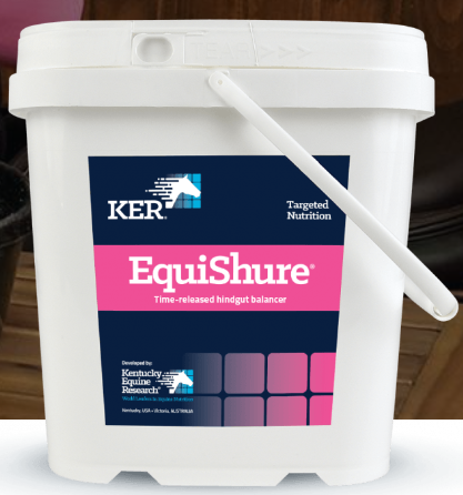 KER Equisure