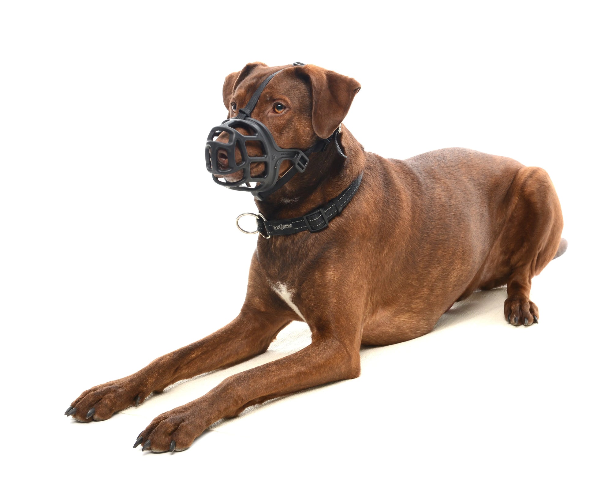 Extreme Dog Muzzle