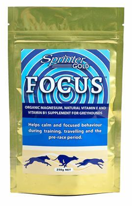 SPRINTER GOLD FOCUS