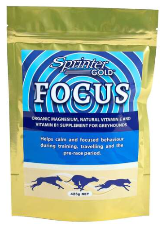 SPRINTER GOLD FOCUS