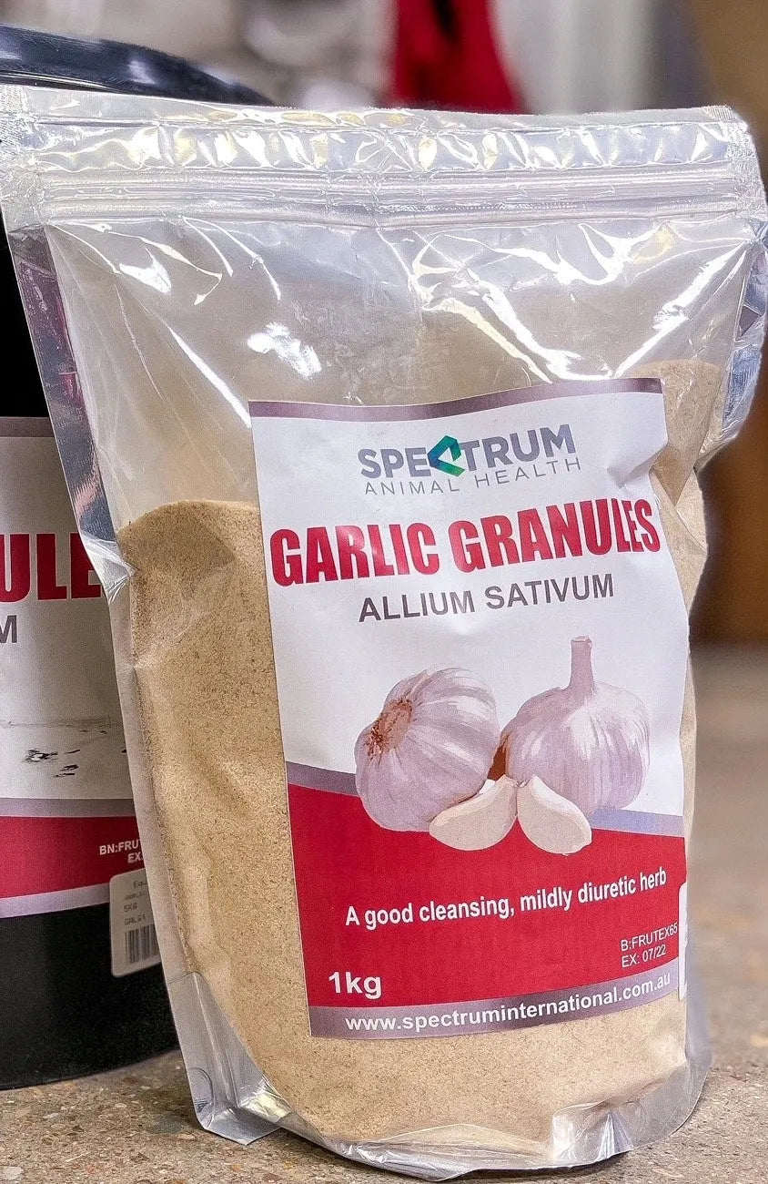 Garlic Granules
