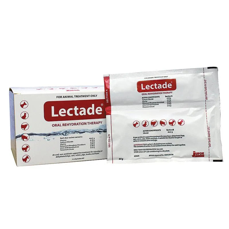 Lectade Sachets 66gm