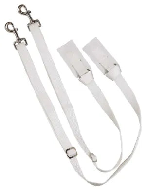 Leg Straps Pair Web