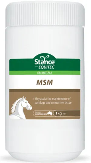 MSM Powder