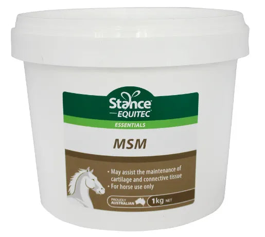 MSM Powder