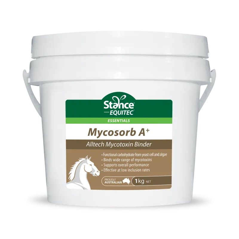 Stance Mycosorb A