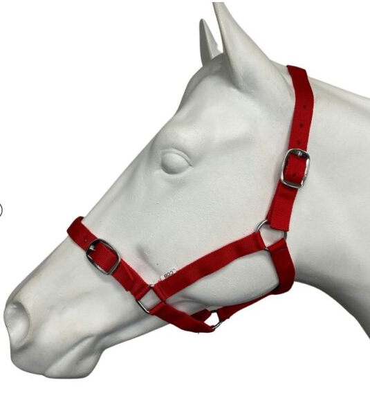 EUREKA ESSENTIAL HALTER