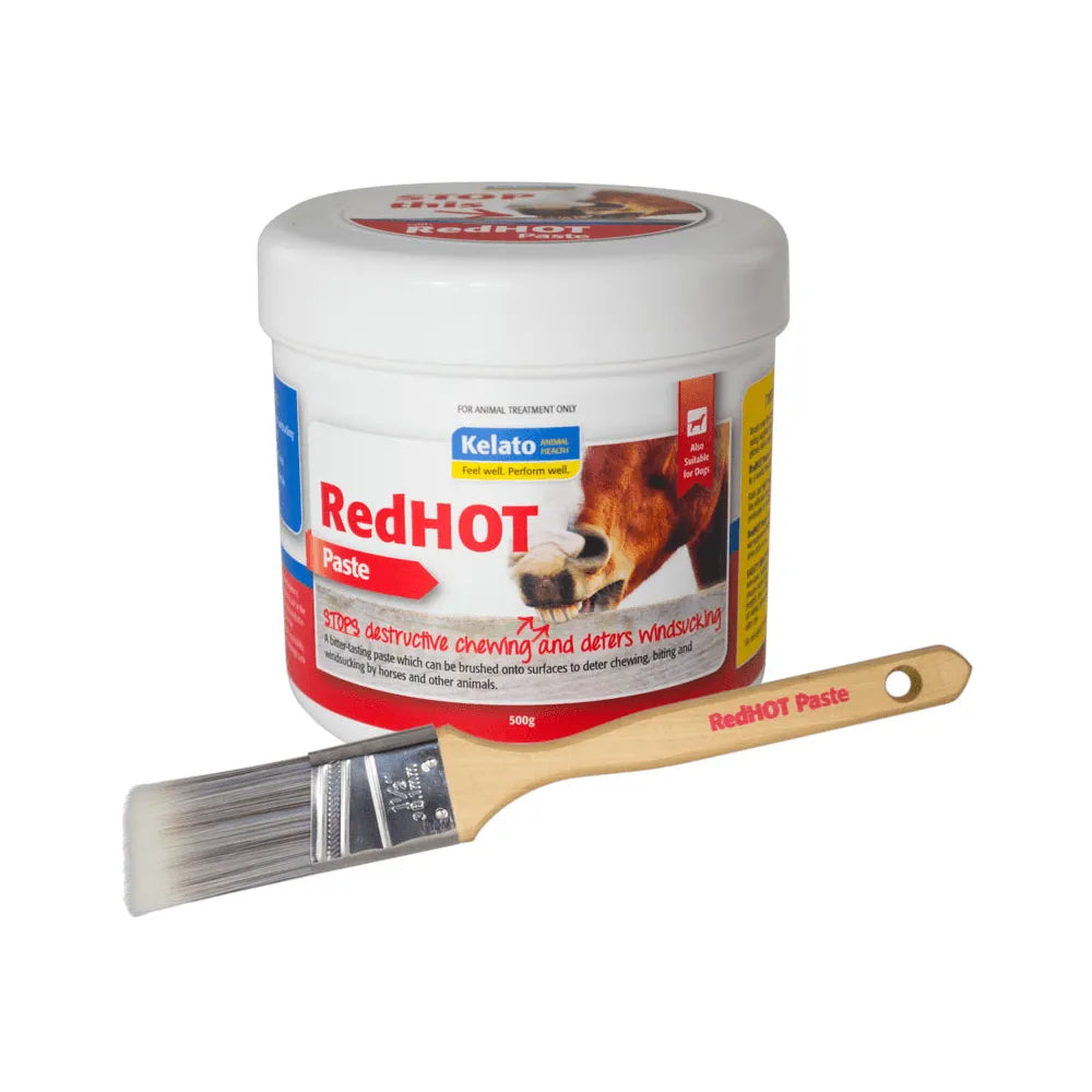 Red Hot Paste 500gm