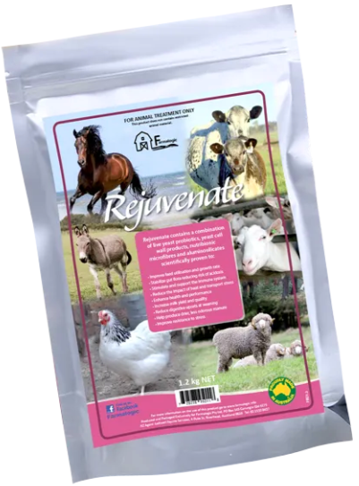 Rejuvenate 1.2kg