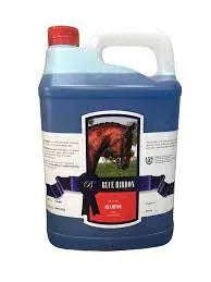 Blue Ribbon Regular Grooming Shampoo