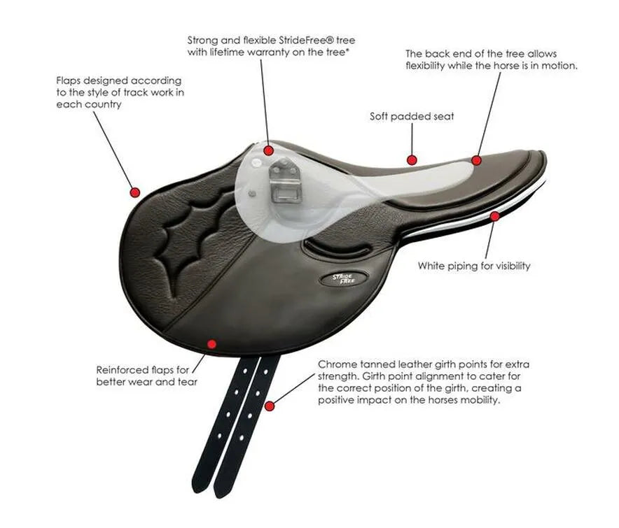 Horobin Stride Free Exercise Saddle Deluxe
