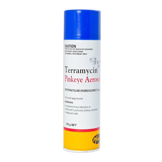Terramycin Pinkeye Aerosol 125gm
