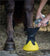 Tubbease Hoof Sock
