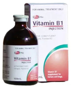 V/P VITAMIN B1 100ML