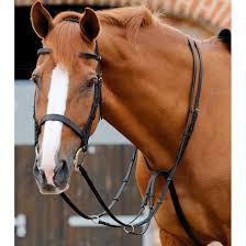 Persuader Martingale Exercise 1/2 Inch Web