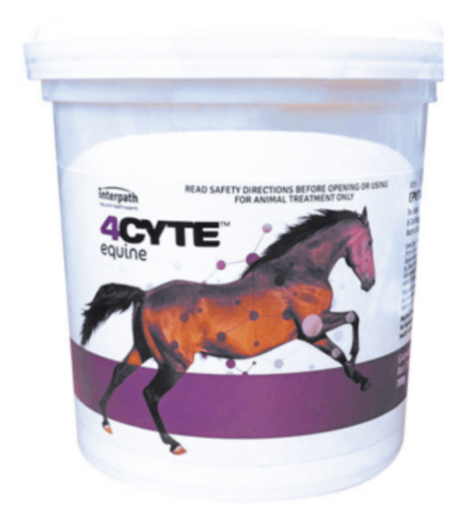 4CYTE EQUINE GRANULES