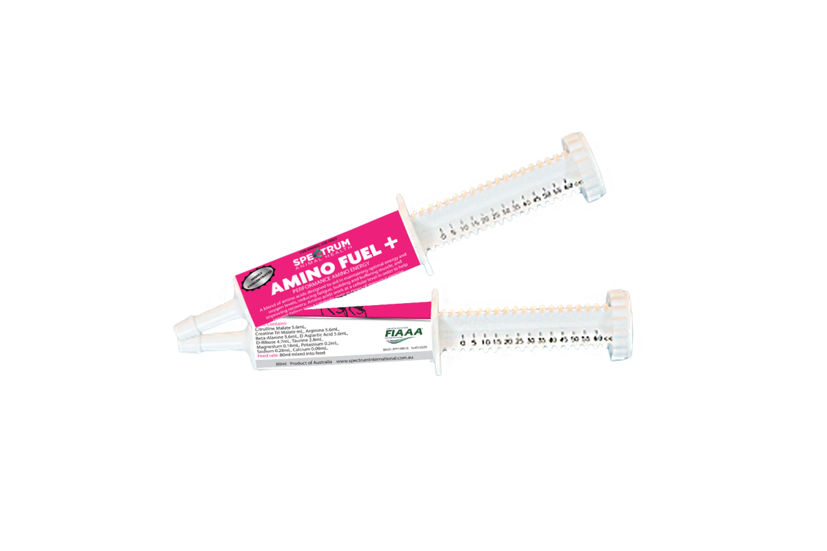 AMINO FUEL PLUS PASTE 80ML