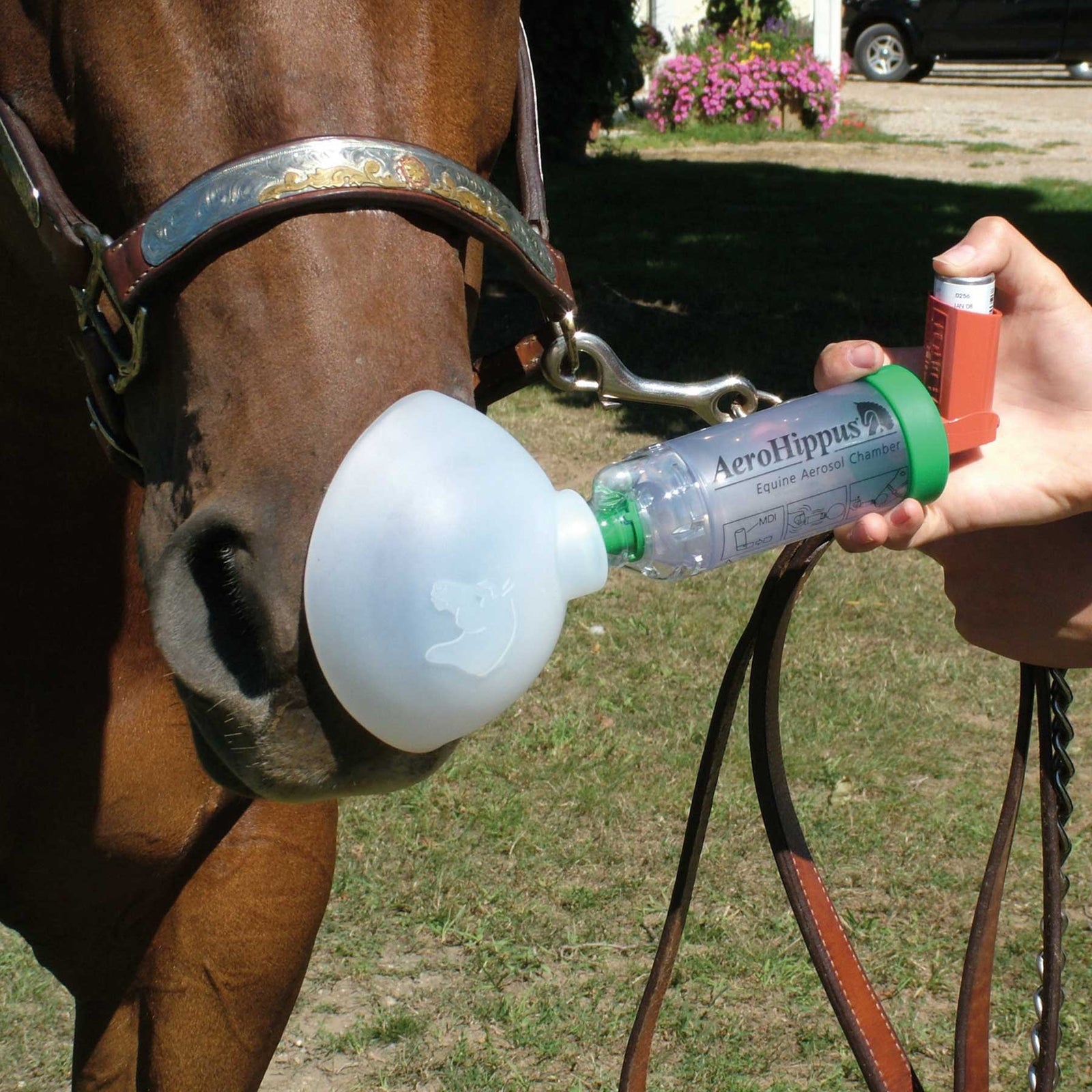 Aero Hippus Equine Aerosol Chamber