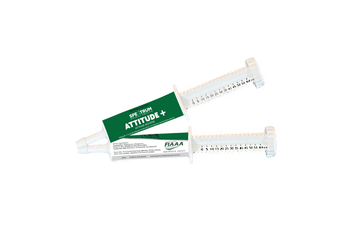 ATTITUDE PLUS PASTE 32ML