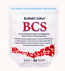 BCS