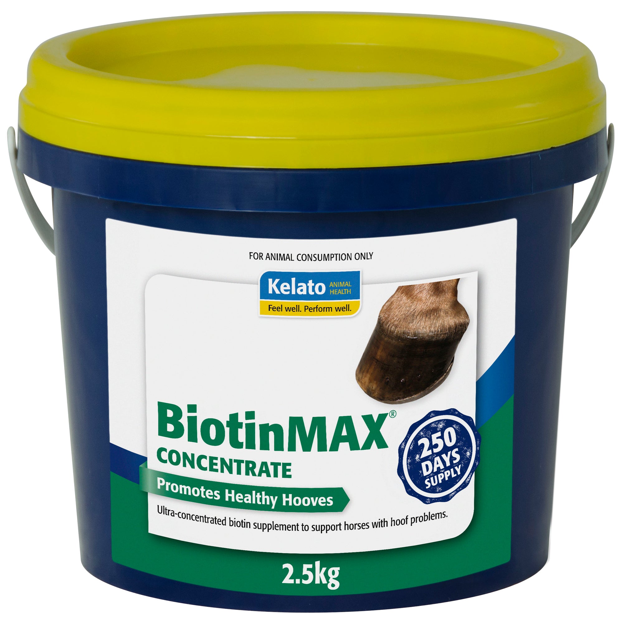 Biotin Max