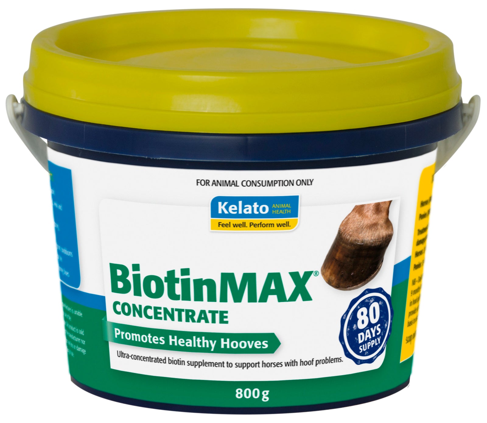 Biotin Max
