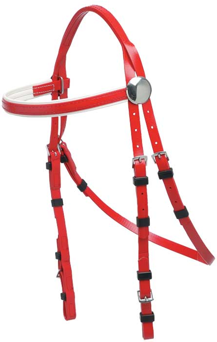 Zilco Race Bridle SS