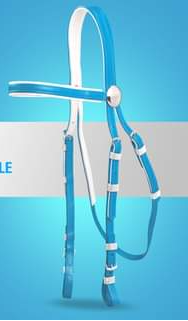 Zilco Race Bridle SS