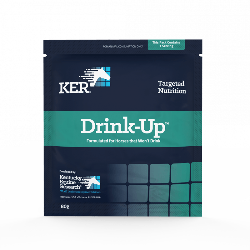 DRINK UP SATCHET 80G