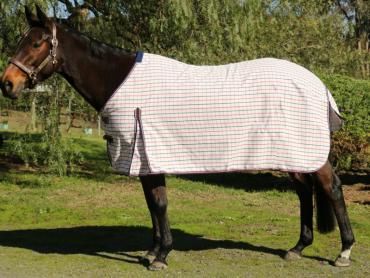 EUREKA SUMMER RIPSTOP RUG
