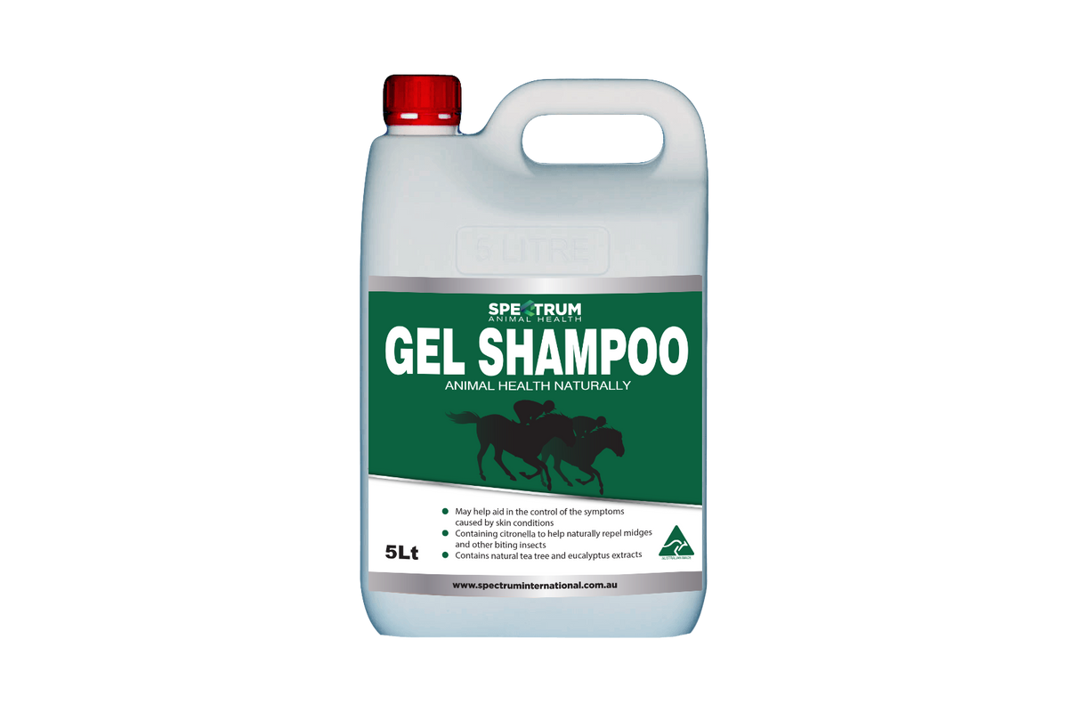 Gel Shampoo