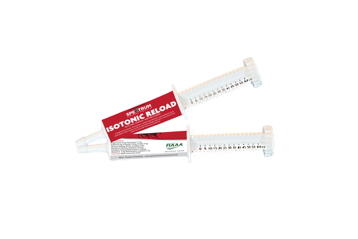 ISOTONIC RELOAD PASTE 80ML