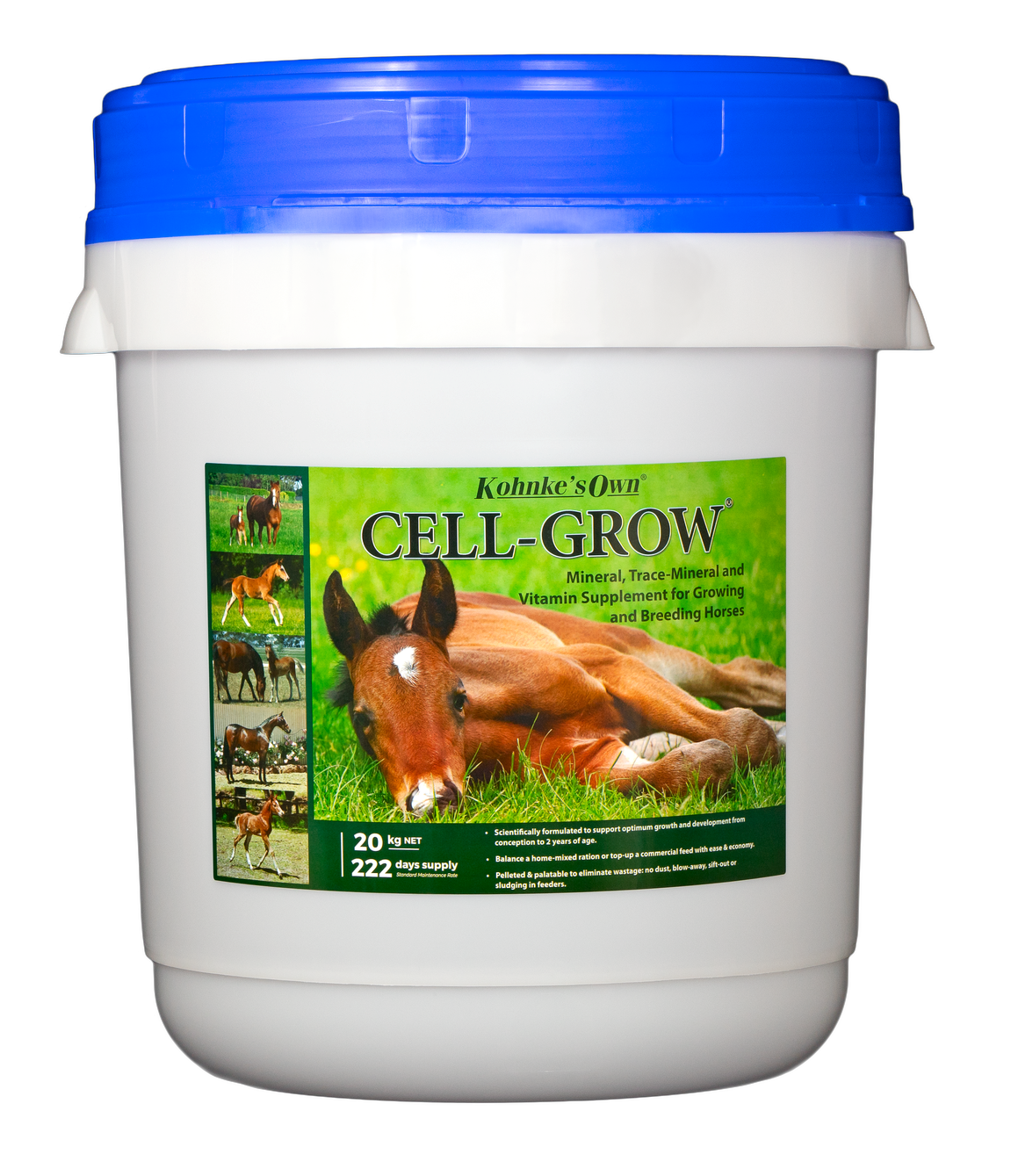 Cell Grow