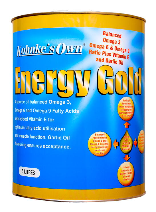 Energy Gold Oil