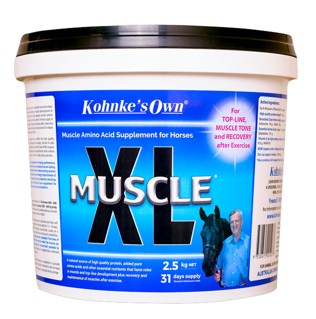 Muscle XL