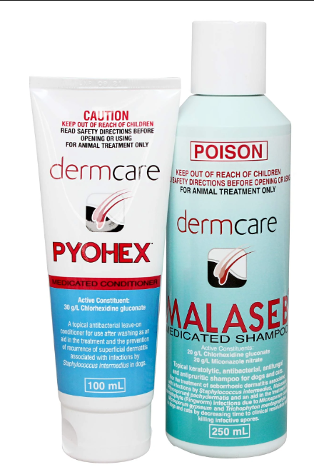 What does malaseb shampoo treat hotsell