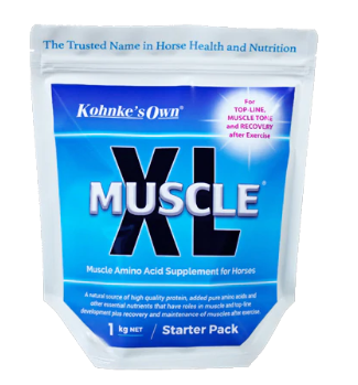MUSCLE XL