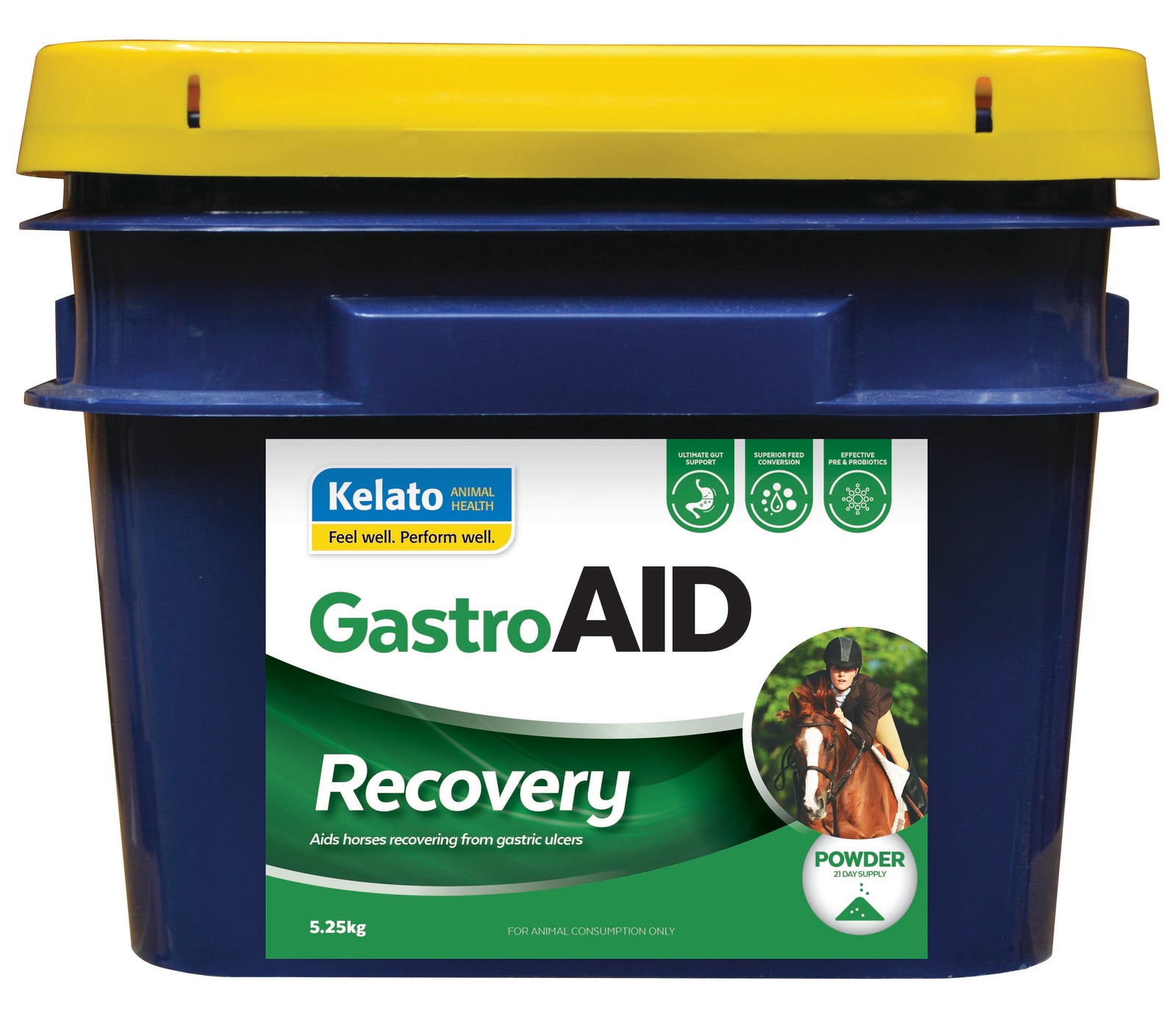 Gastro Aid Recovery