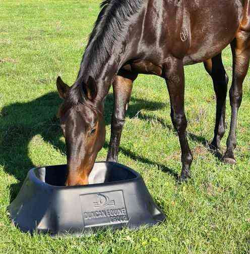 Paddock Feeder 52L Duncan