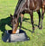PADDOCK FEEDER 52L DUNCAN