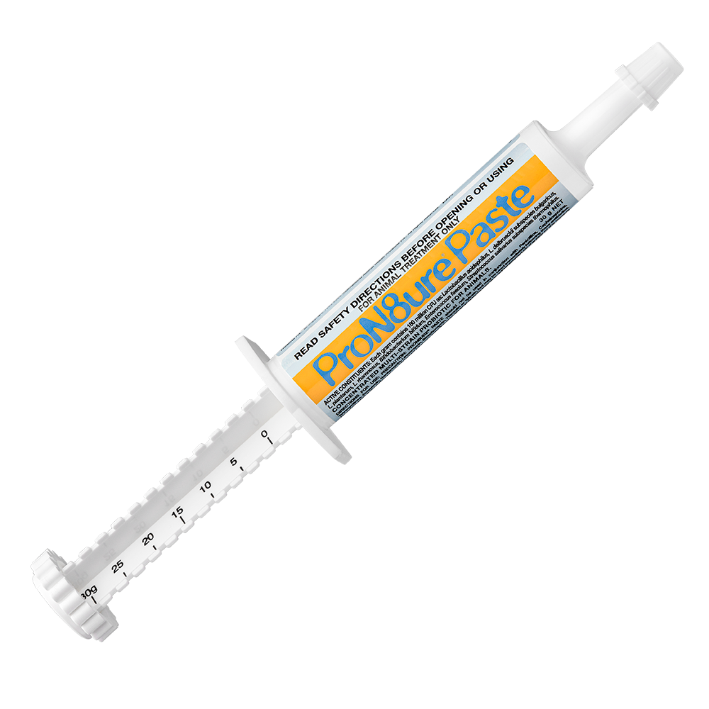 PRON8URE POWDER