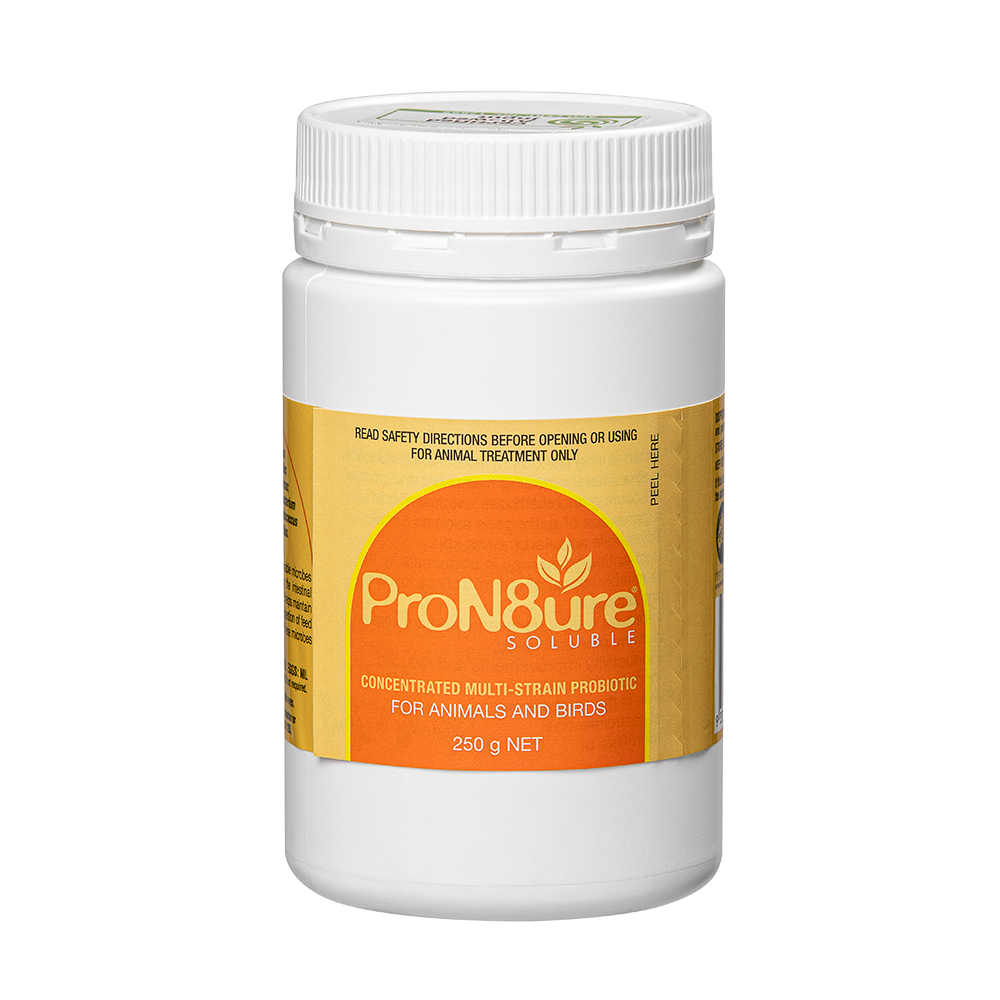 PRON8URE POWDER