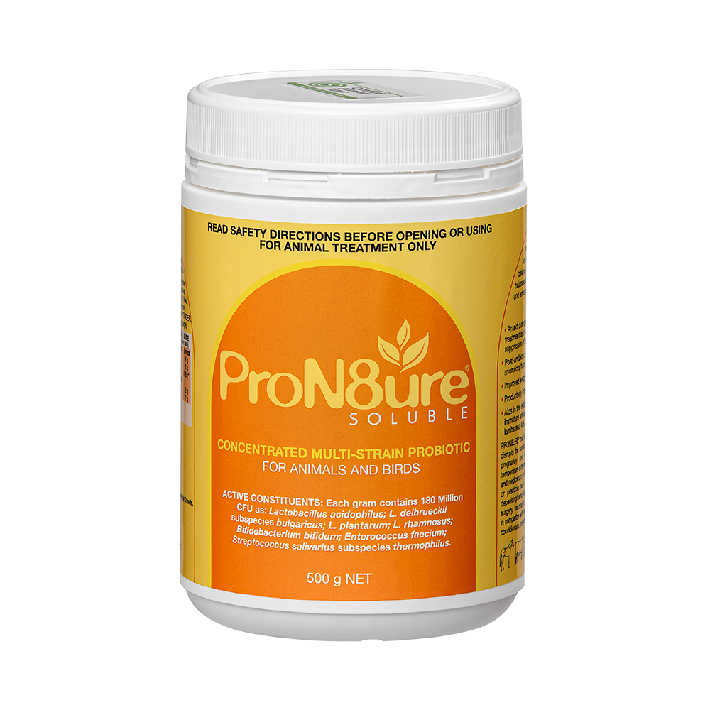 PRON8URE POWDER